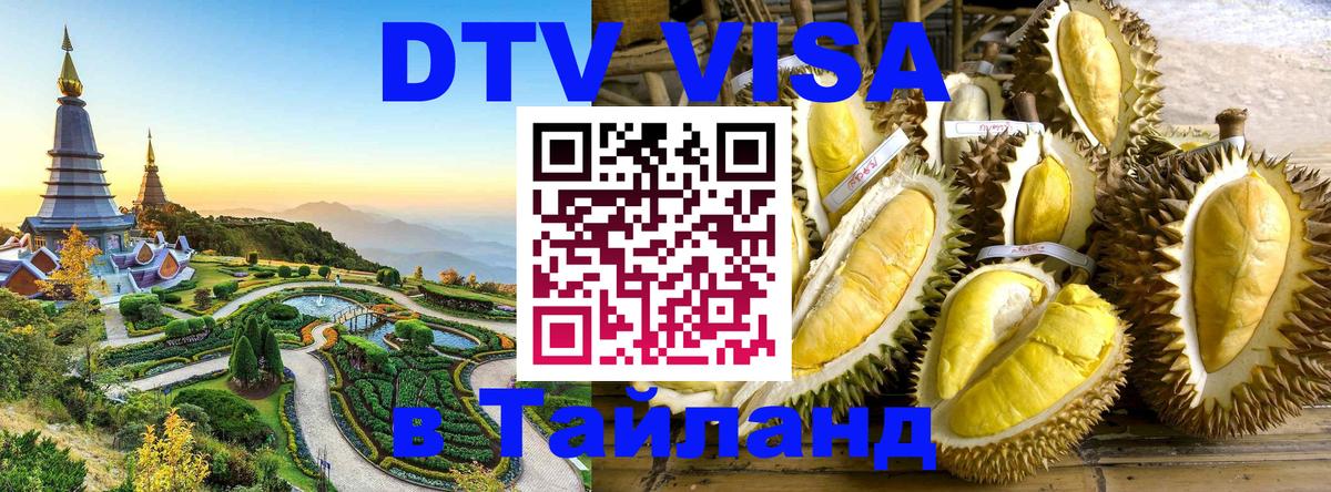 Цены на DTV визу в Таиланд — пакеты услуг, достаточно даже паспорта - Сураттхани 